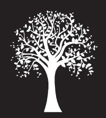 Professional landscape design in Asheville, NC - Asheville Arborcare