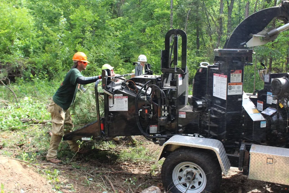 Top-rated landscaping services for residential properties across Asheville, NC - Asheville Arborcare