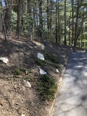 Asheville Curb Appeal Logo