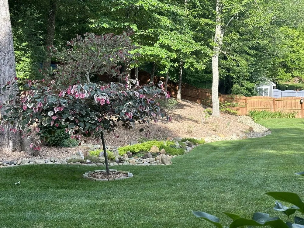 Expert landscaping services experts serving Mills River, NC - Asheville Landscapes