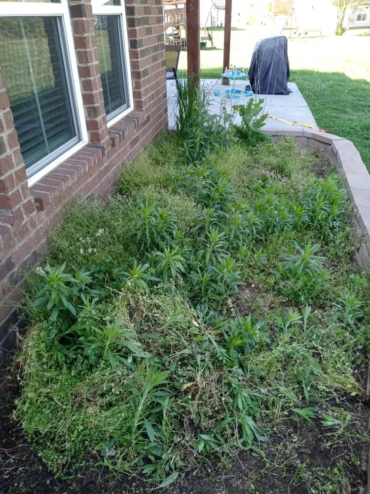 Top-rated lawn care service experts serving Murfreesboro, TN - Ashford Landscapes