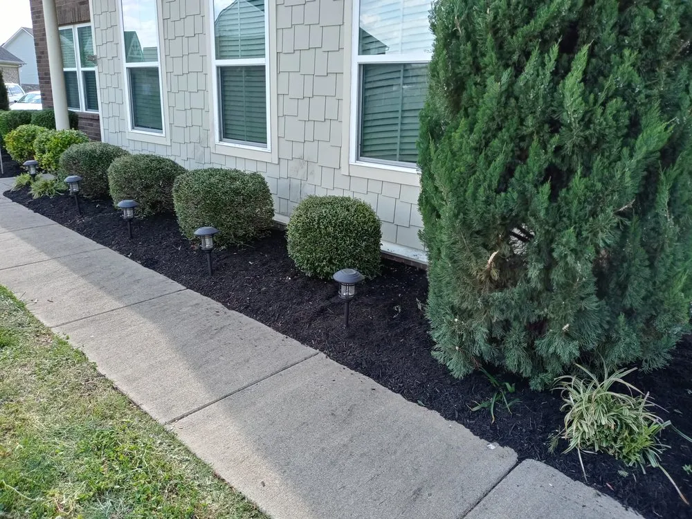 Professional lawn care service for outdoor upgrades in Murfreesboro, TN by Ashford Landscapes