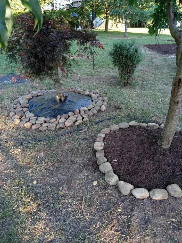 Expert residential landscaping in Murfreesboro, TN by Ashford Landscapes