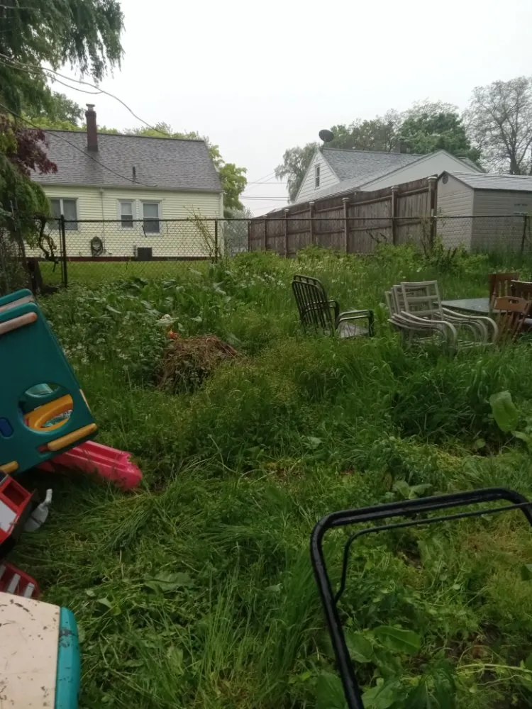 Professional garden landscaping in Rochester, NY - Ashford Landscapings