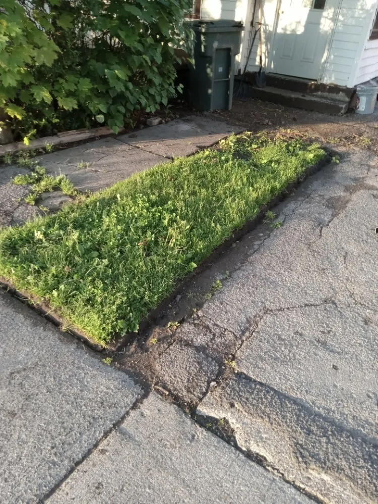 Custom yard maintenance for year-round maintenance in Rochester, NY by Ashford Landscapings