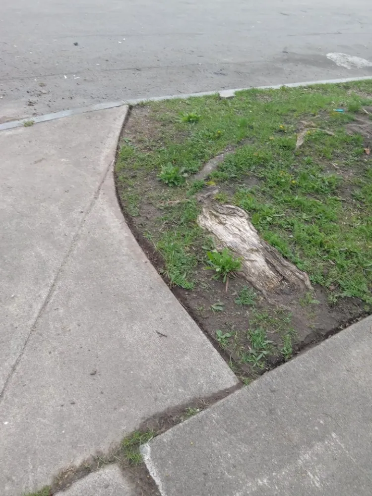 Custom yard cleanup service in Rochester, NY - Ashford Landscapings