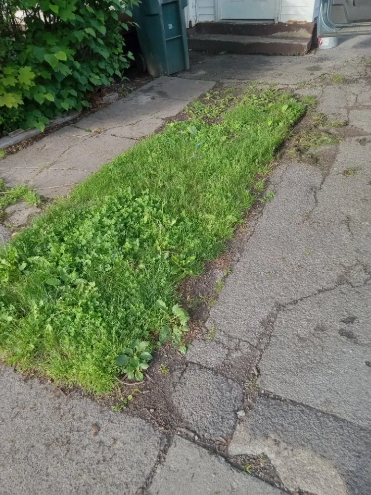 Top-rated yard maintenance for homes in Rochester, NY by Ashford Landscapings