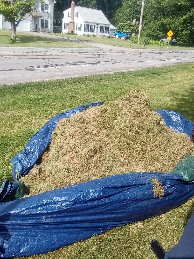 Trusted lawn mowing service in Rochester, NY - Ashford Landscapings