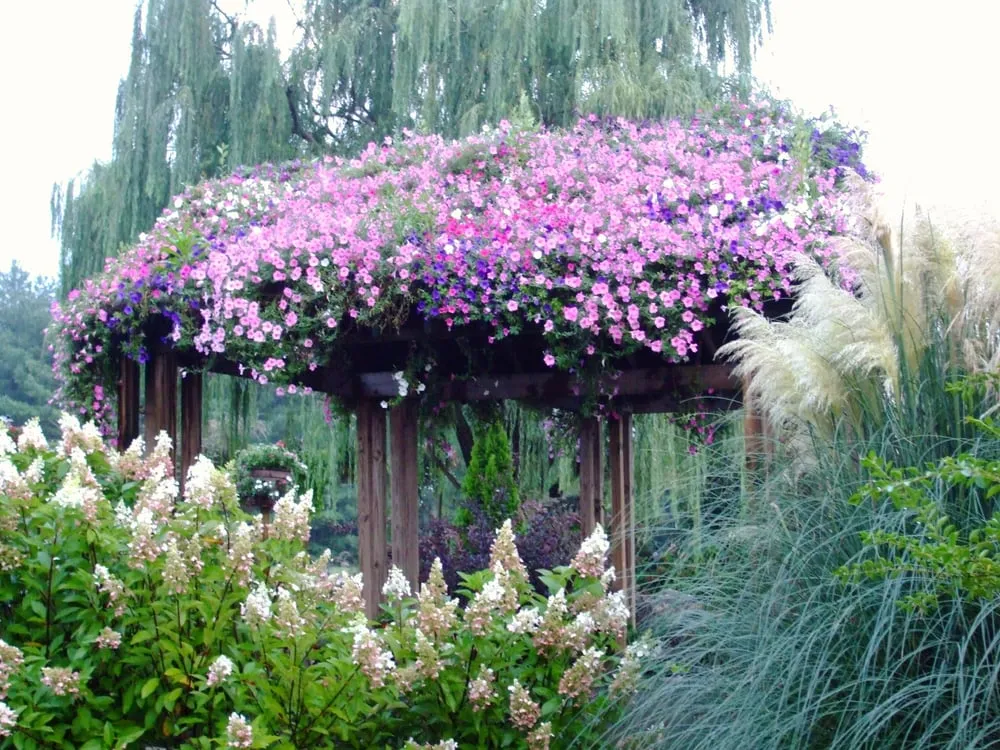 Reliable residential landscaping in Beaverdam, VA - Ashland Berry Farm