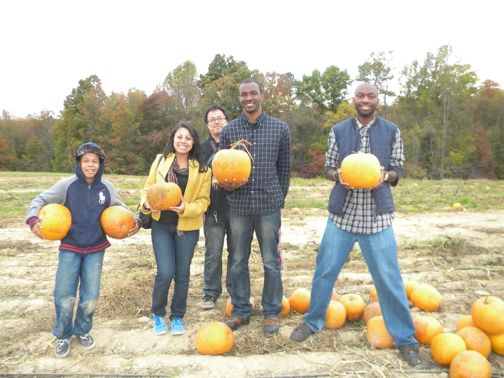 Expert garden landscaping near you across Beaverdam, VA - Ashland Berry Farm