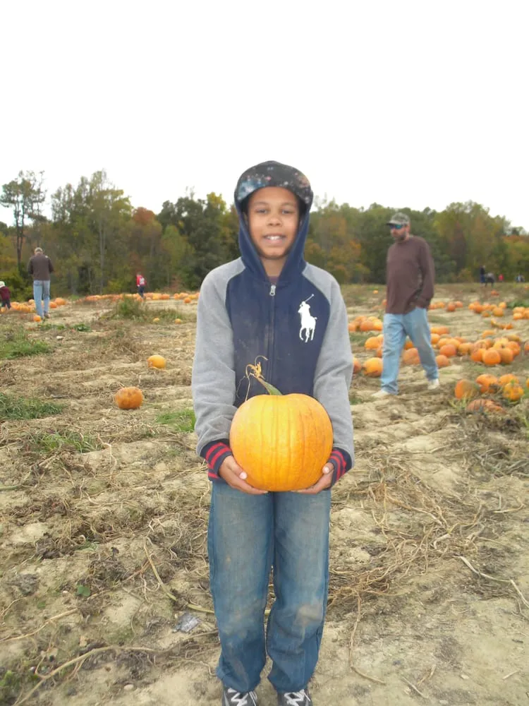 Expert yard maintenance in Beaverdam, VA - Ashland Berry Farm