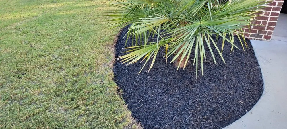 Local yard maintenance in Georgetown, SC - Ashland Landscaping