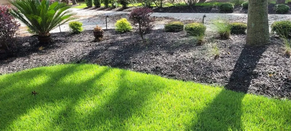 Affordable landscape design in Georgetown, SC - Ashland Landscaping