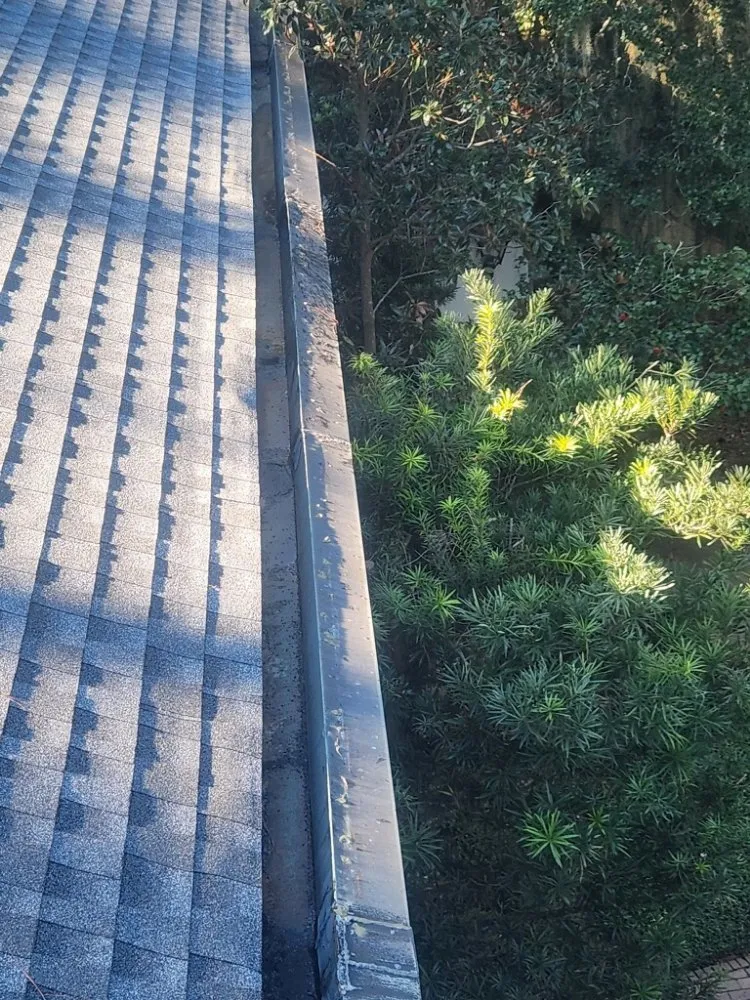 Professional landscape installation in Georgetown, SC by Ashland Landscaping