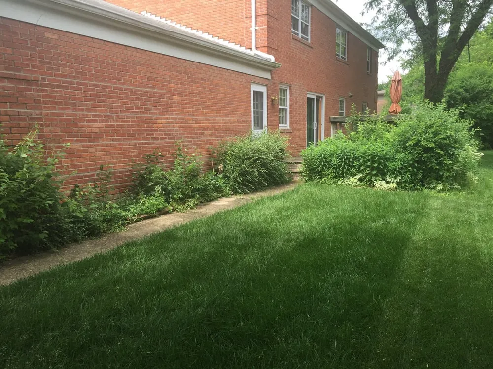 Professional lawn mowing service in Flossmoor, IL - Ashley Lane Design