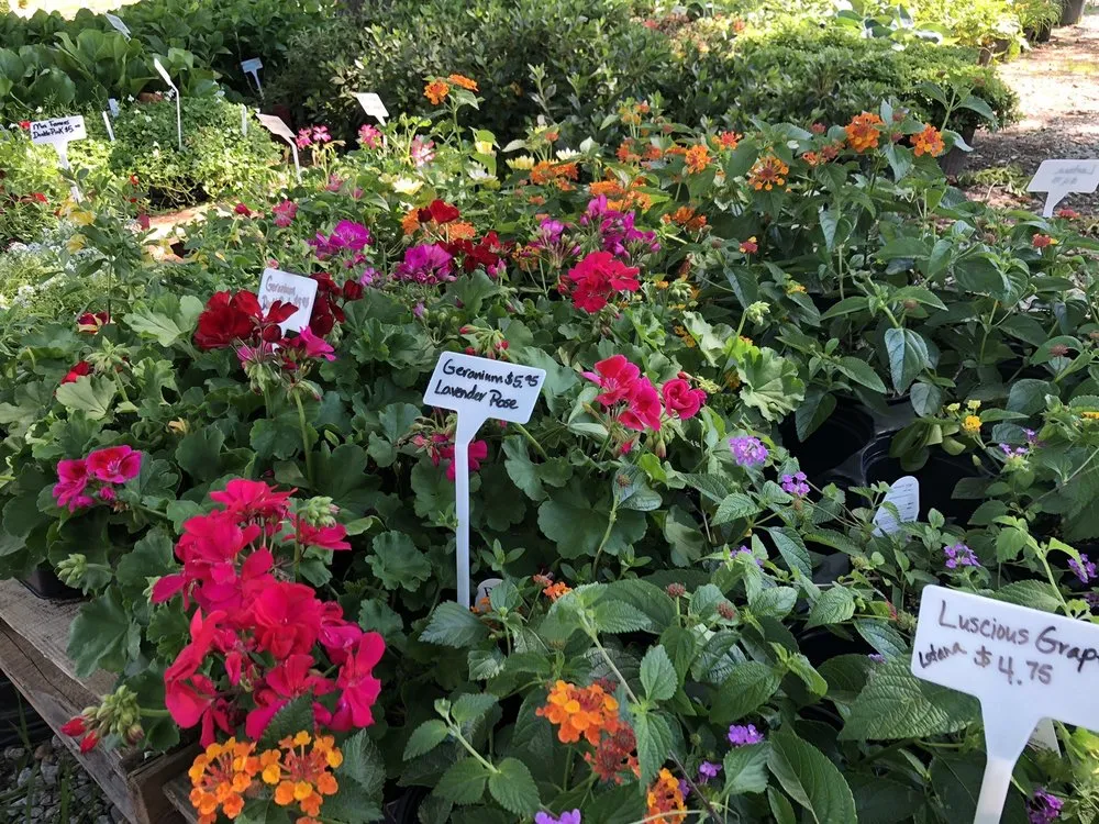 Affordable landscaping services for homes across Senoia, GA - Ashley’s Garden