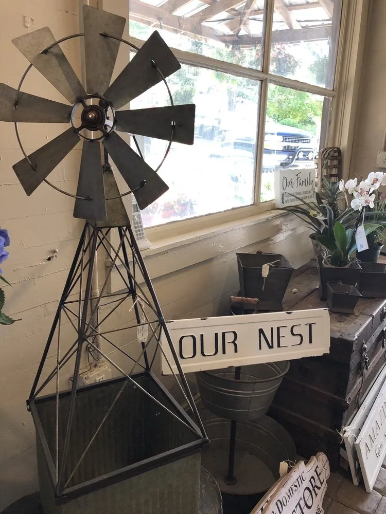 Expert lawn care service with custom design in Senoia, GA by Ashley’s Garden