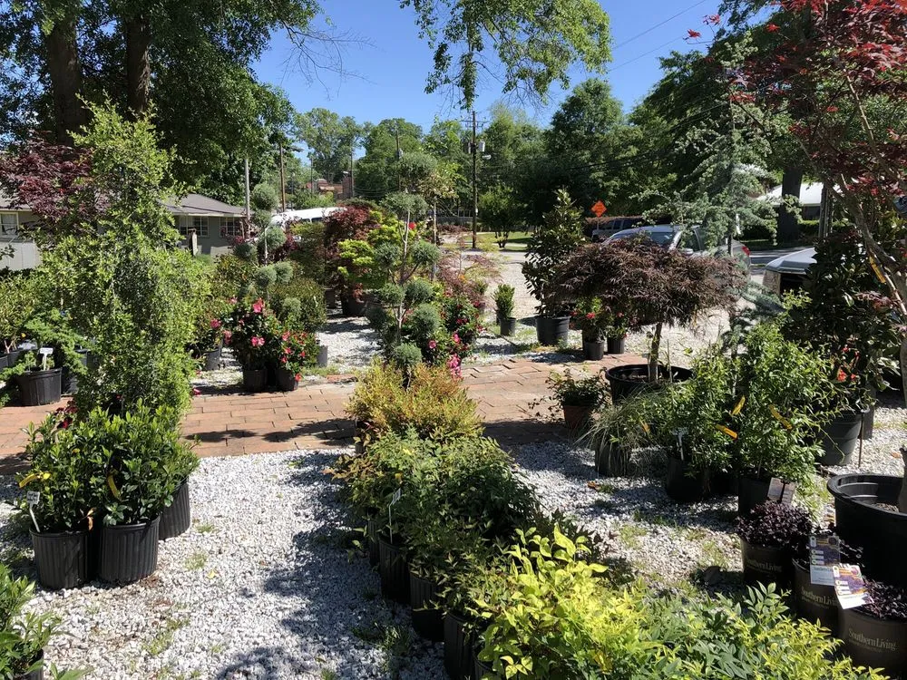 Affordable lawn care service near you across Senoia, GA - Ashley’s Garden