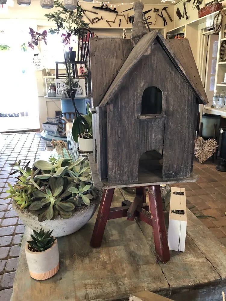 Custom yard maintenance experts serving Senoia, GA - Ashley’s Garden