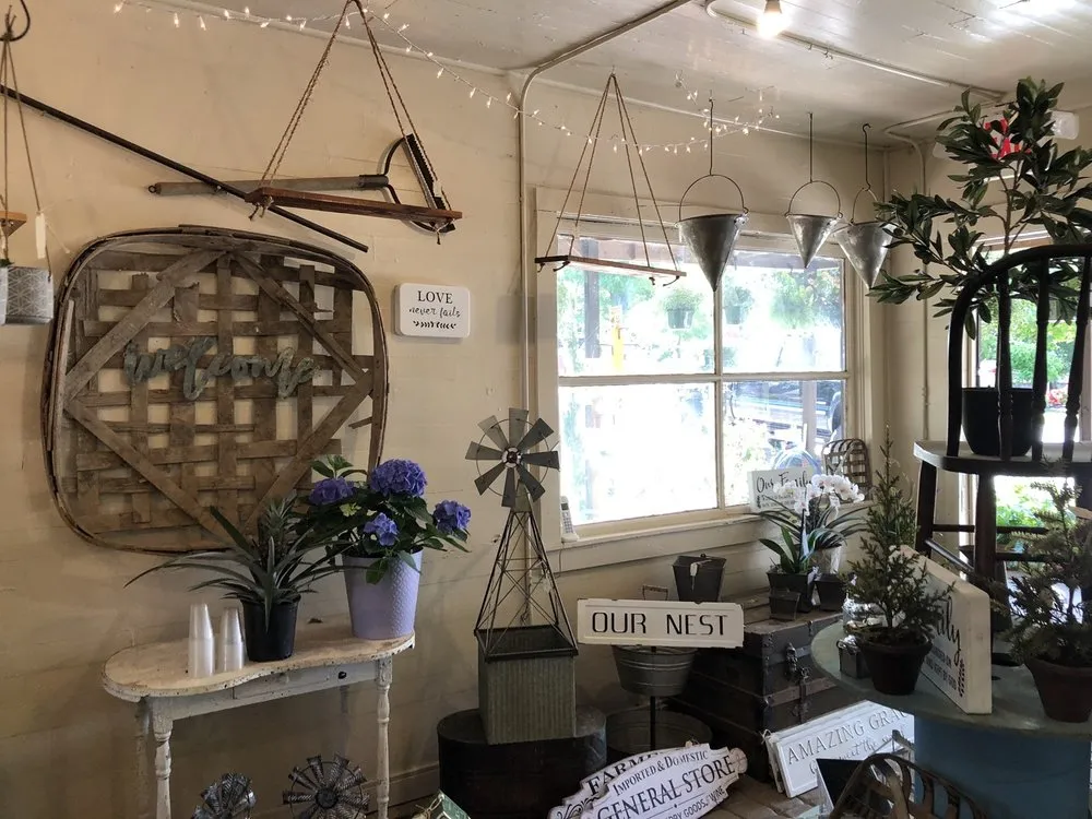 Reliable lawn mowing service for year-round maintenance in Senoia, GA by Ashley’s Garden