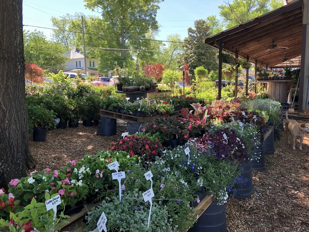 Local garden landscaping experts serving Senoia, GA - Ashley’s Garden