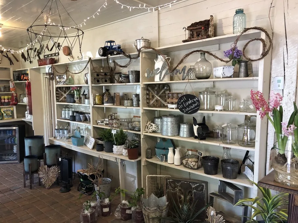 Reliable landscape design in Senoia, GA - Ashley’s Garden