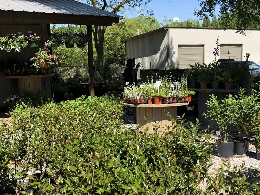 Affordable landscape design with custom design in Senoia, GA by Ashley’s Garden