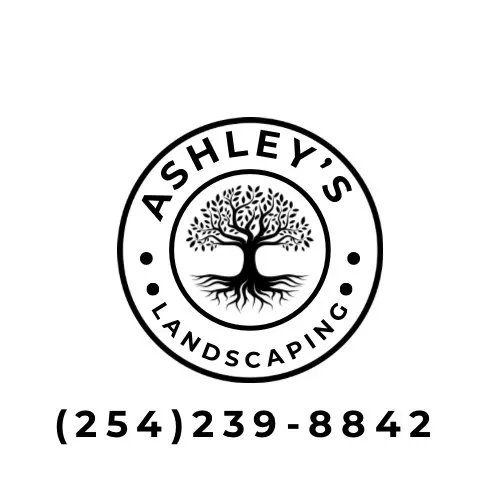 Affordable yard maintenance with custom design in Gatesville, TX by Ashley’s Landscaping & Services