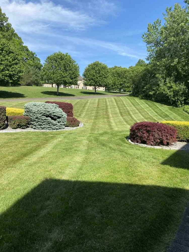 Top-rated yard cleanup service for year-round maintenance across Newington, CT - Ashmore & Son Landscaping