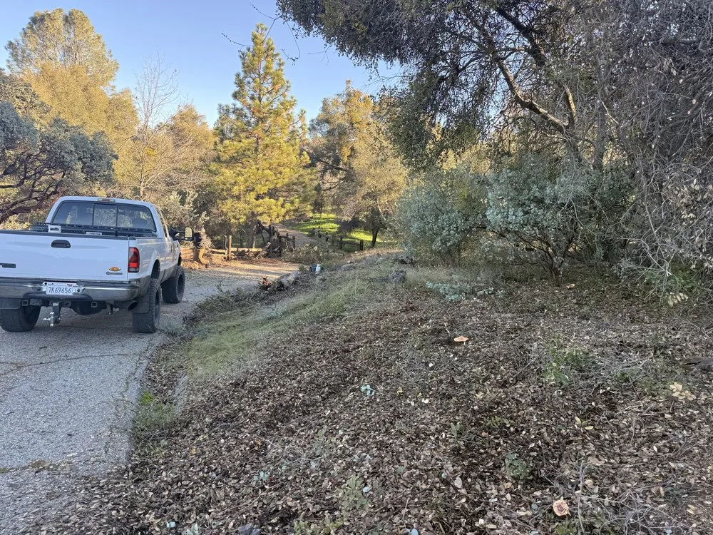 Affordable yard maintenance experts serving North Fork, CA - AshPeak Fire Solutions