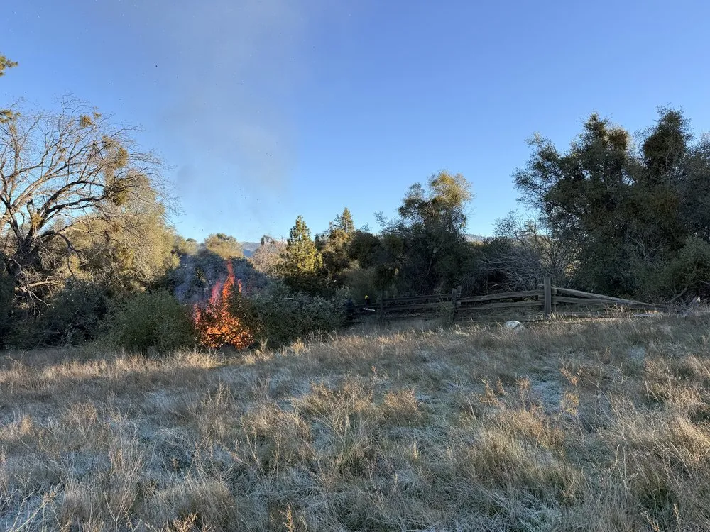 Professional residential landscaping in North Fork, CA - AshPeak Fire Solutions