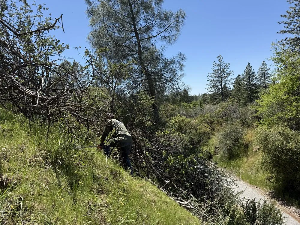 Top-rated lawn mowing service in North Fork, CA - AshPeak Fire Solutions