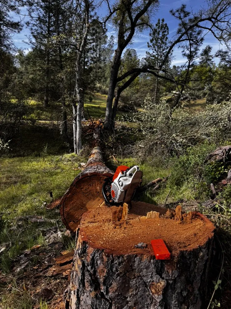 Top-rated yard maintenance in North Fork, CA by AshPeak Fire Solutions