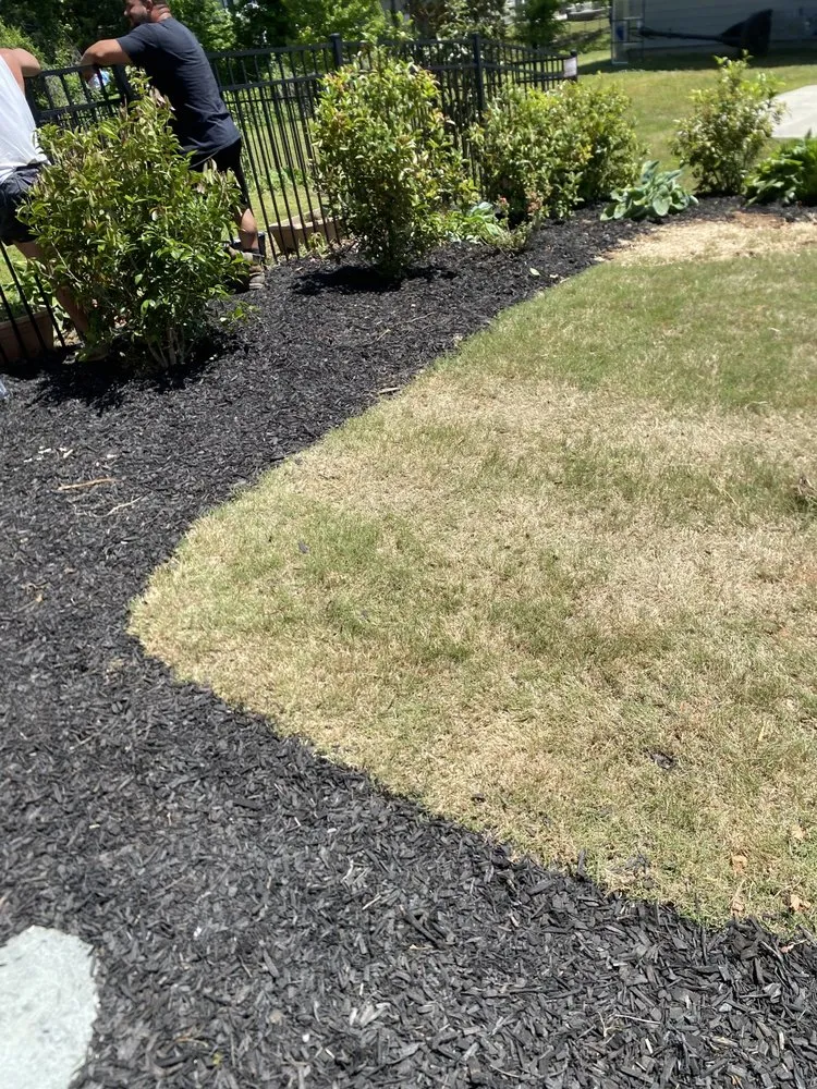 Trusted yard cleanup service for residential properties in Mooresville, NC by Ash’s Landscaping