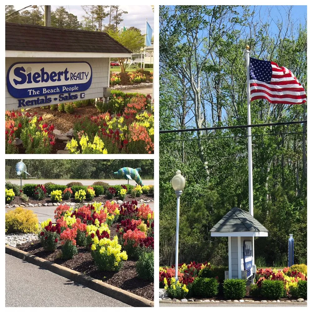 Affordable yard maintenance for beautiful yards in Virginia Beach, VA by Ashton Landscaping Inc.