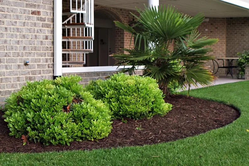 Trusted yard maintenance with custom design in Virginia Beach, VA by Ashton Landscaping Inc.