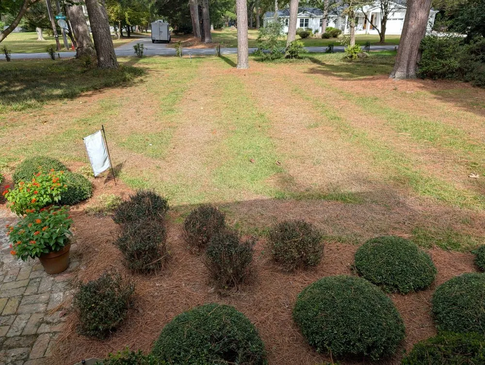 Top-rated outdoor landscaping near you across Virginia Beach, VA - Ashton Landscaping Inc.