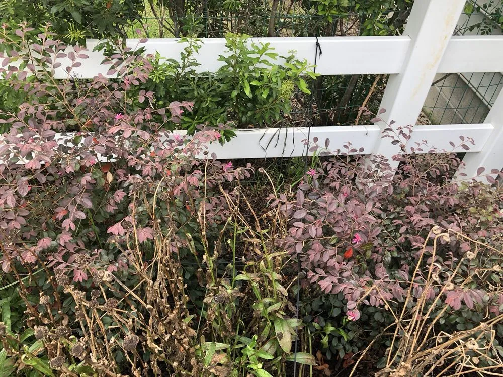 Affordable outdoor landscaping in Virginia Beach, VA by Ashton Landscaping Inc.