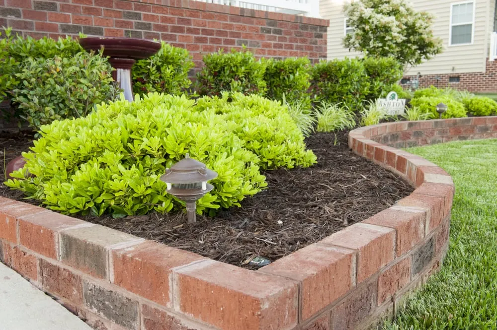 Reliable yard maintenance in Virginia Beach, VA by Ashton Landscaping Inc.