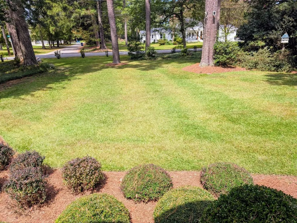 Custom yard cleanup service experts serving Virginia Beach, VA - Ashton Landscaping Inc.