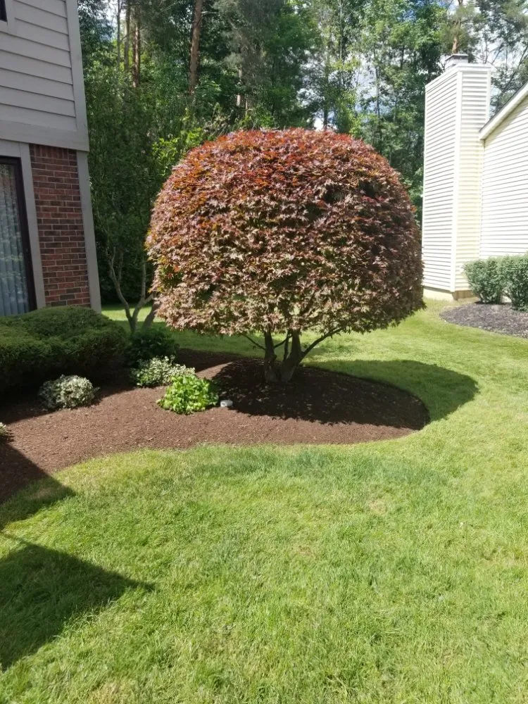 Custom yard cleanup service for residential properties in Buffalo, NY by Ashton Lawn, Landscape and Snowplowing