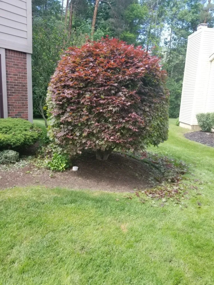 Reliable landscaping services with custom design in Buffalo, NY by Ashton Lawn, Landscape and Snowplowing