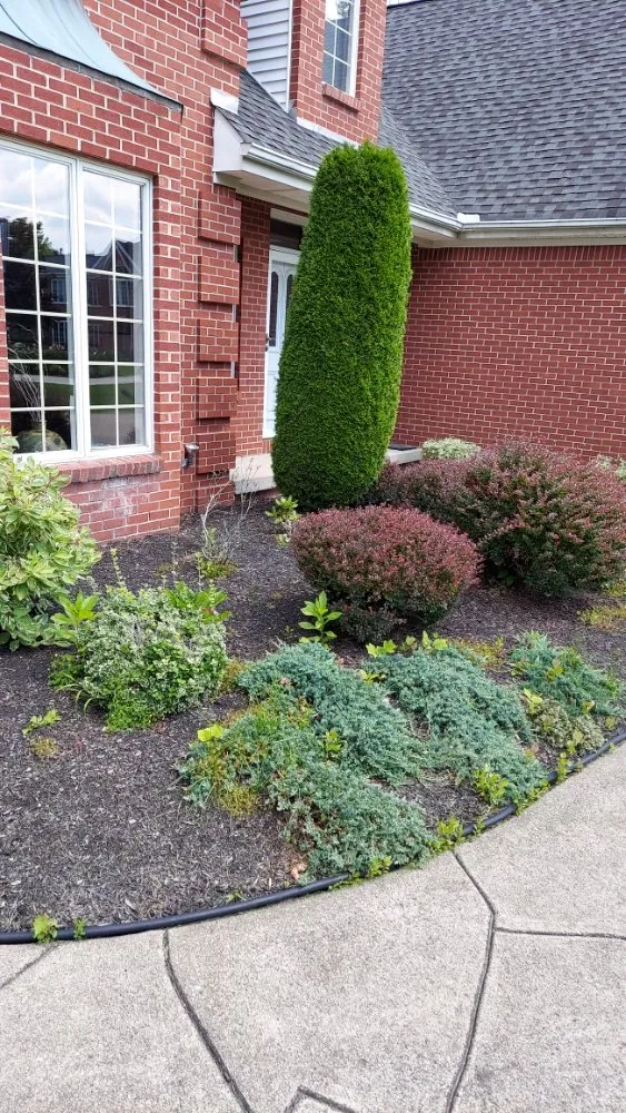 Reliable garden landscaping in Buffalo, NY by Ashton Lawn, Landscape and Snowplowing