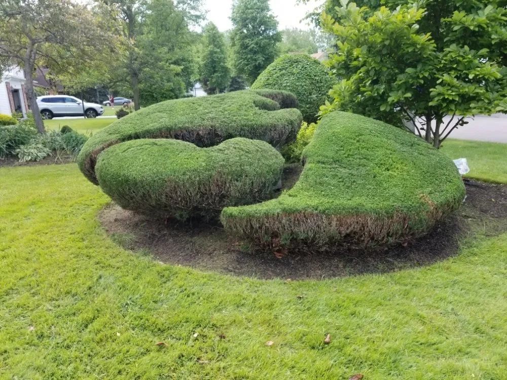 Affordable garden landscaping experts serving Buffalo, NY - Ashton Lawn, Landscape and Snowplowing