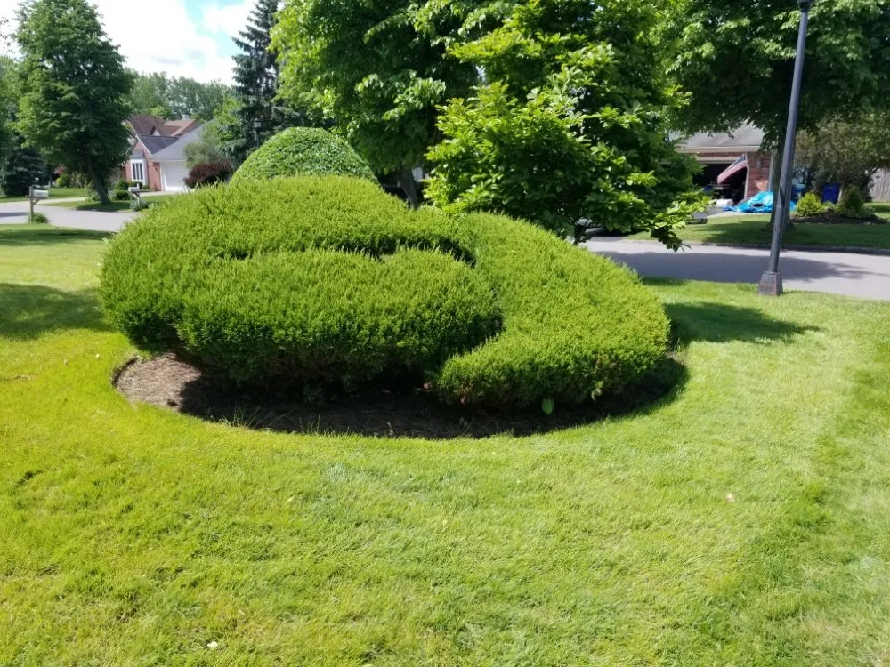 Affordable landscaping services for homes in Buffalo, NY by Ashton Lawn, Landscape and Snowplowing