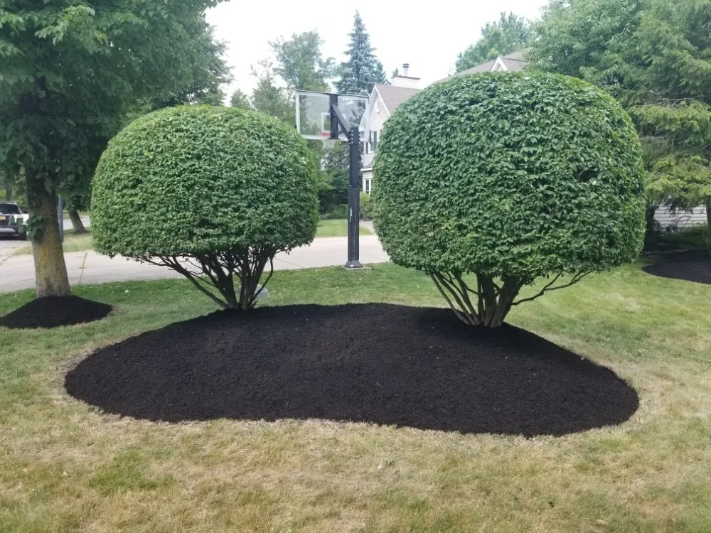 Top-rated lawn care service near you across Buffalo, NY - Ashton Lawn, Landscape and Snowplowing