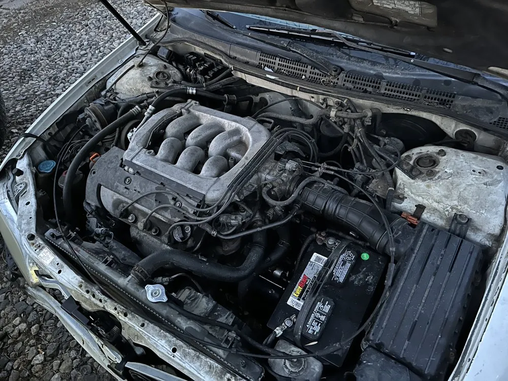 Custom yard maintenance in Sioux Falls, SD - Ashton Olesen