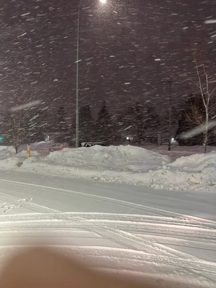 Professional landscape design for beautiful yards across Sioux Falls, SD - Ashton Olesen