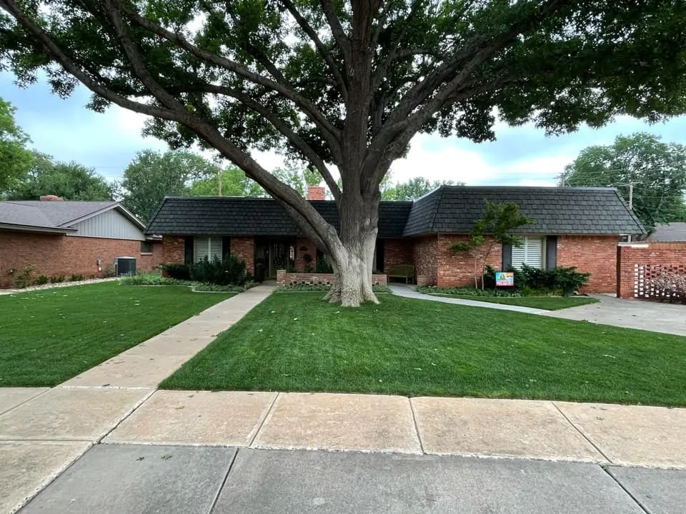 Top-rated yard cleanup service for year-round maintenance across Lubbock, TX - Ashton Walden Turf Services