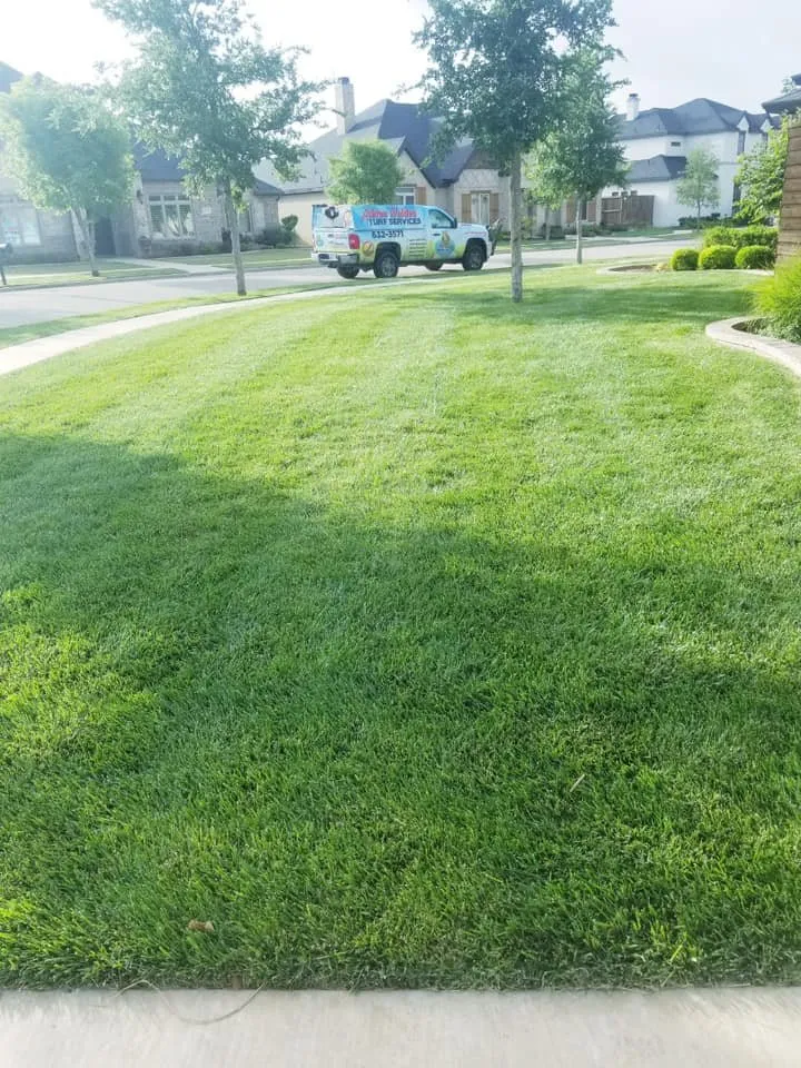 Professional landscaping services for year-round maintenance across Lubbock, TX - Ashton Walden Turf Services